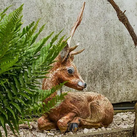 Tereza & Free Parking Апартаменты Братислава