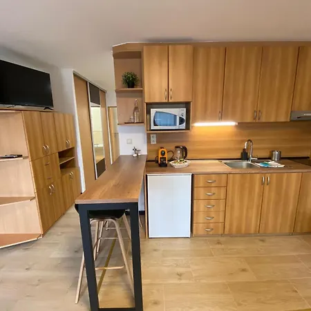 Tereza & Free Parking Apartment Bratislava