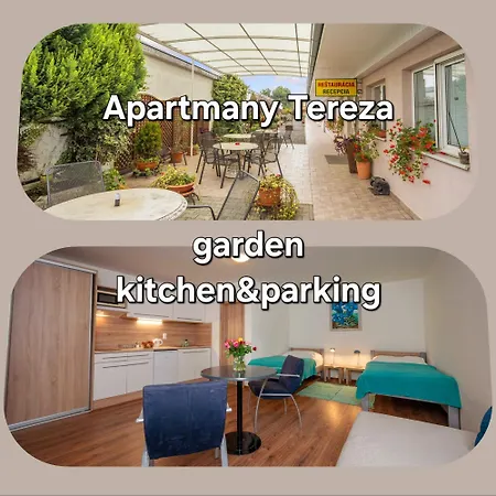Tereza & Free Parking Apartment *